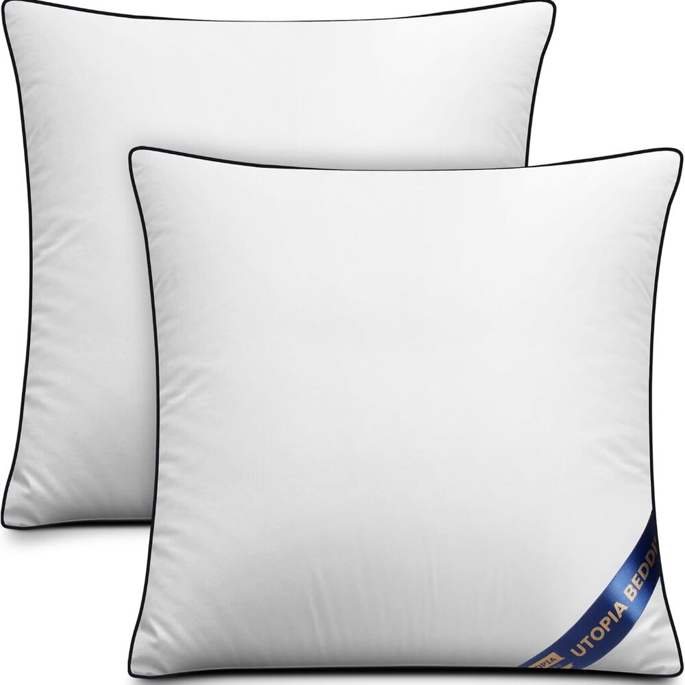 Throw Pillow Inserts Pack of 2, White, 18 x 18 Inches Decorative Indoor Pillows